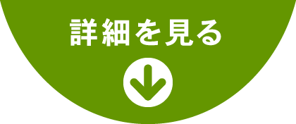 詳細を見る