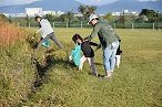 アドプトプログラム「うちの土手」「分家うちの土手」清掃活動