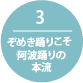 3.ぞめき踊りこそ阿波踊りの本流