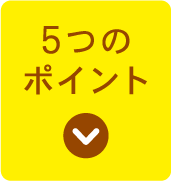 5つのポイント