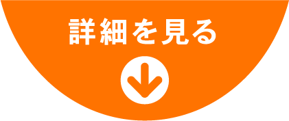詳細を見る