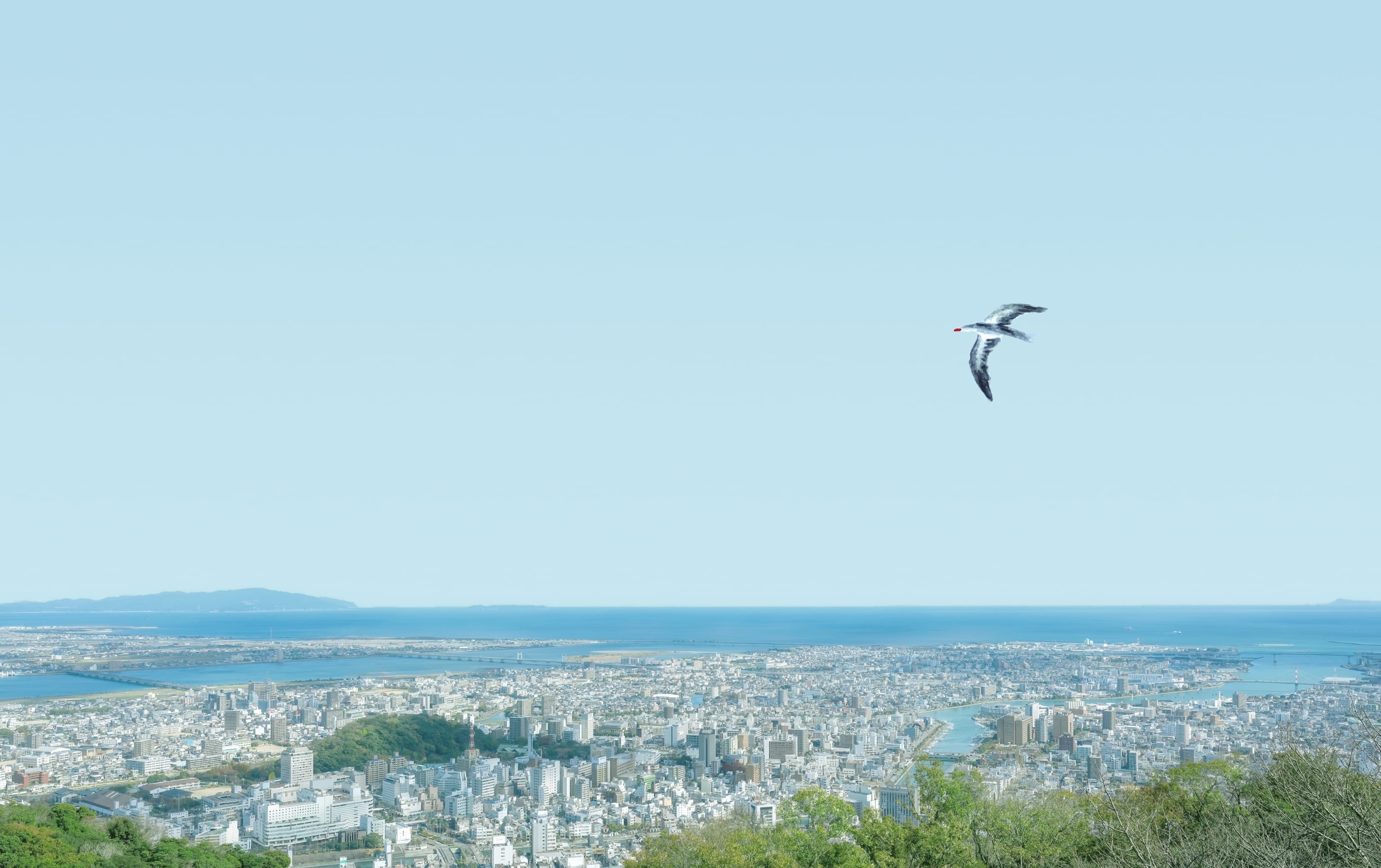 徳島の風景